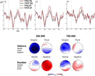 Emotional Attractors in Subject-Verb Number Agreement